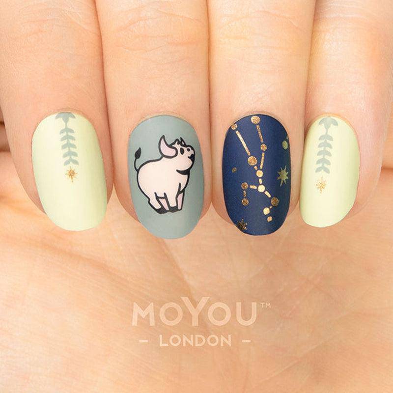 Zodiac 25 ✦ Nail Stamping Plate - MoYou London