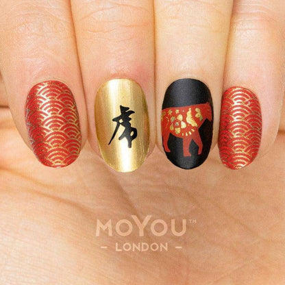 Zodiac 27 ✦ Nail Stamping Plate - MoYou London